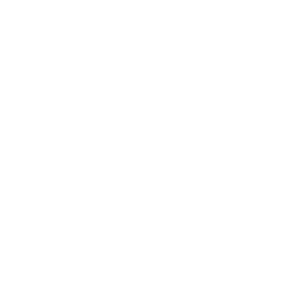 SIEMFinalOK Img Transparent